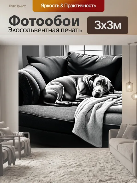 Фотообои веймаранер, спящий на диване в уютной гостиной, покрытый пледом