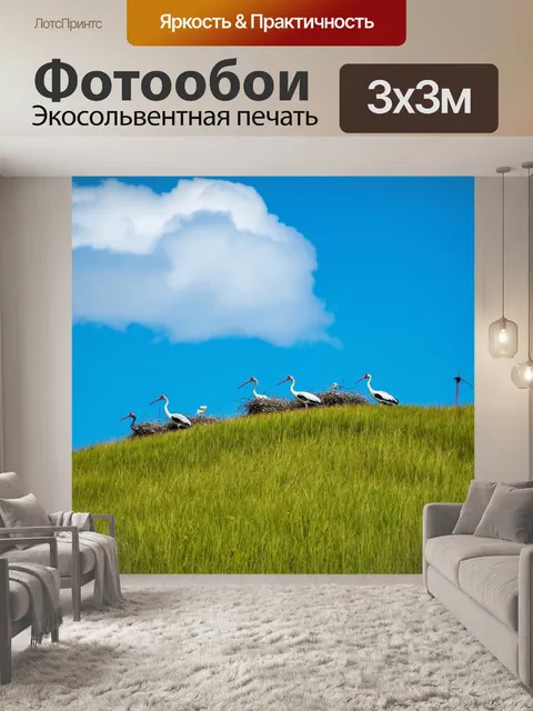 Фотообои с журавлями, гнездящимися в высоких травянистых холмах, на фоне яркого голубого неба, с пушистыми облаками…