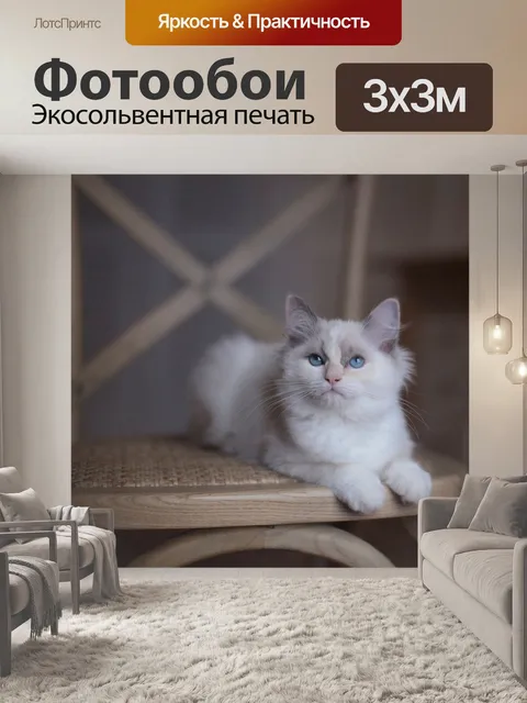 Фотообои Внутри
