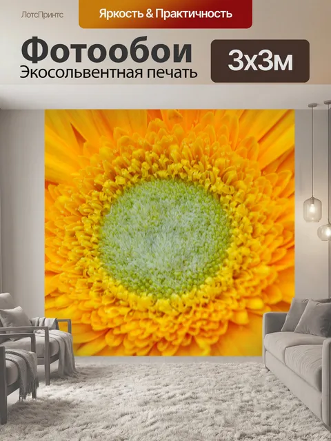 Фотообои Гербера ромашка 05