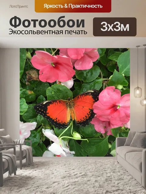 Фотообои Оранжевая бабочка