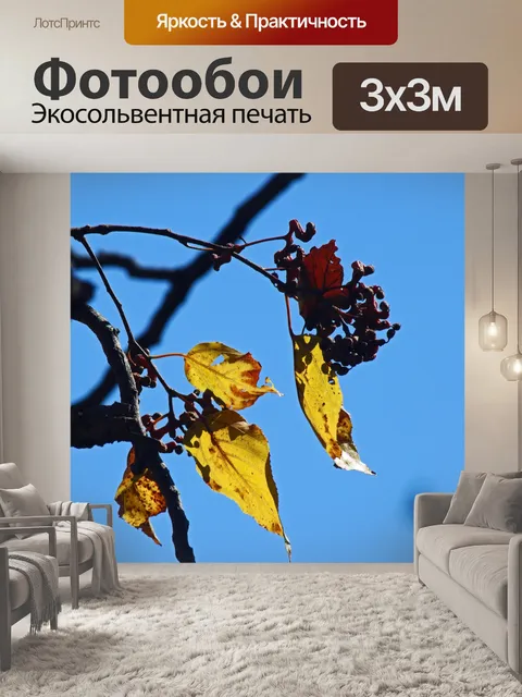 Фотообои вид солнечного света на желтых листьях
