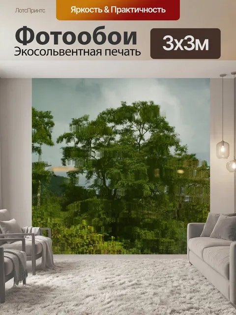 Фотообои Отражение