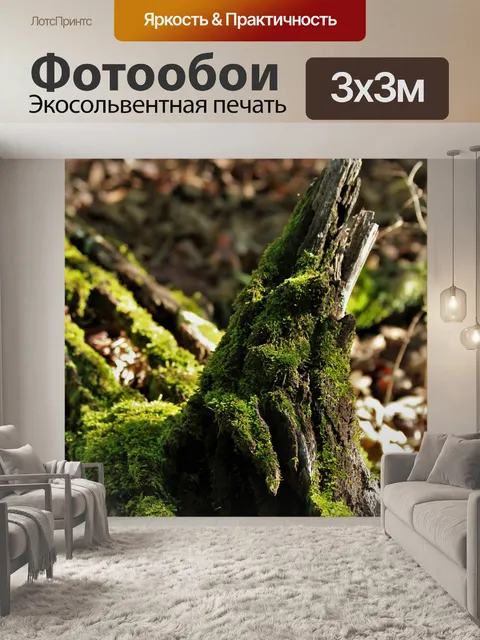 Фотообои Мосс покрыт логом крупным планом