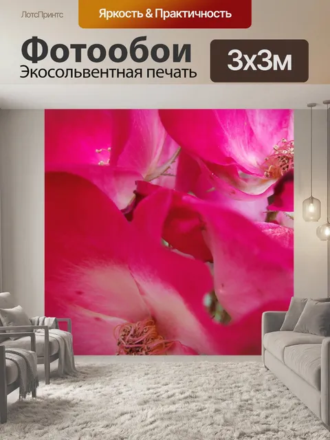 Фотообои Розовый