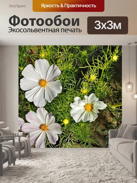 Фотообои Белый