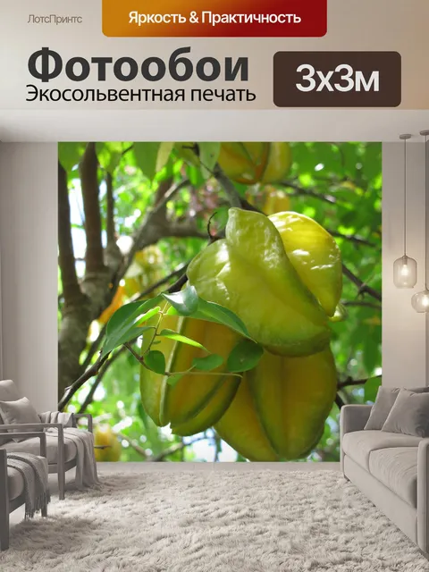 Фотообои Звезда плоды