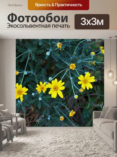Фотообои желтые ромашки