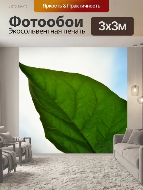 Фотообои дерево помидор, Большой лист