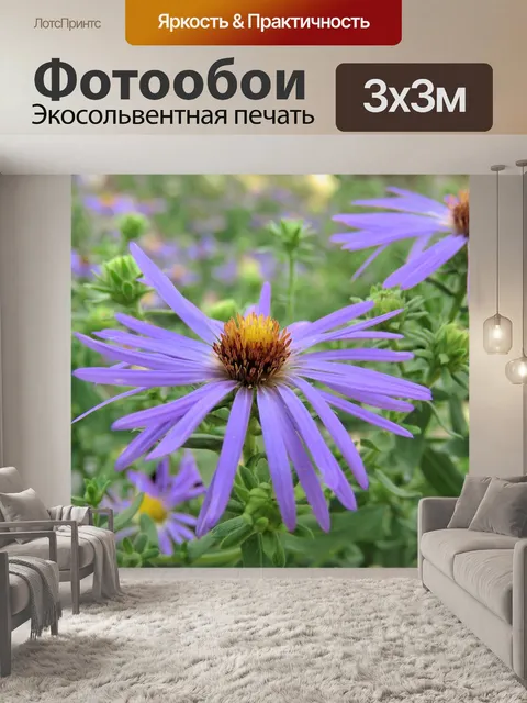 Фотообои Цветок