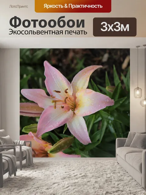 Фотообои Розовый