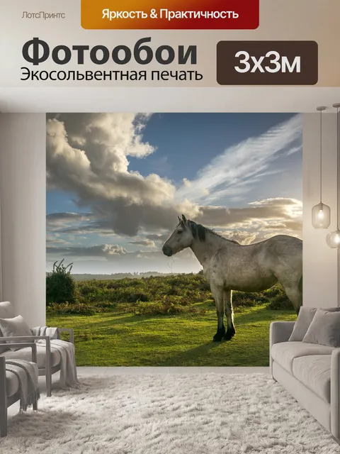 Фотообои Лошадь