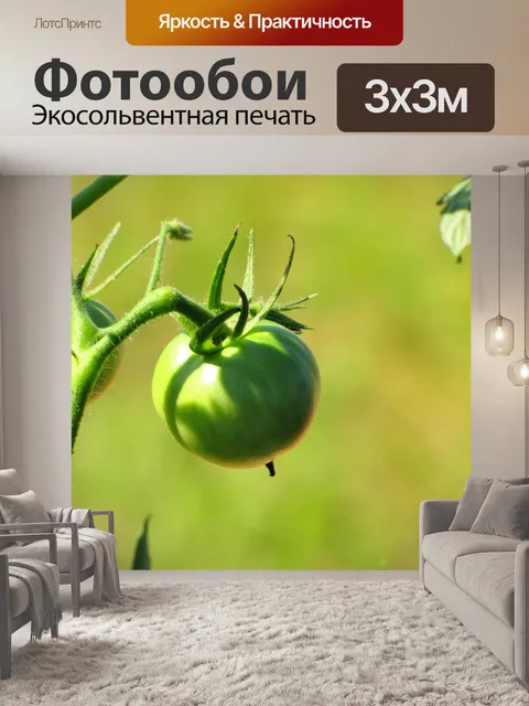 Фотообои Зеленый помидор