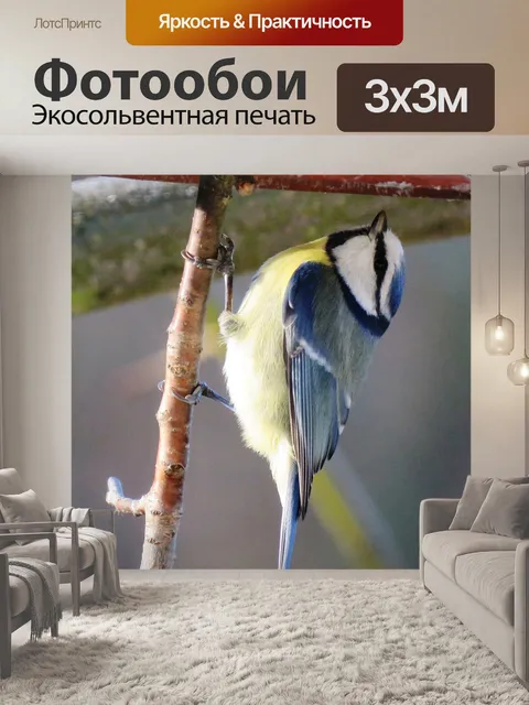 Фотообои Птица