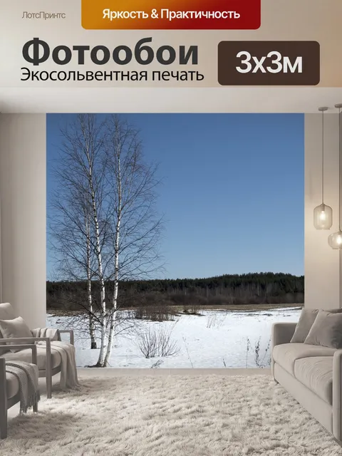 Фотообои Береза