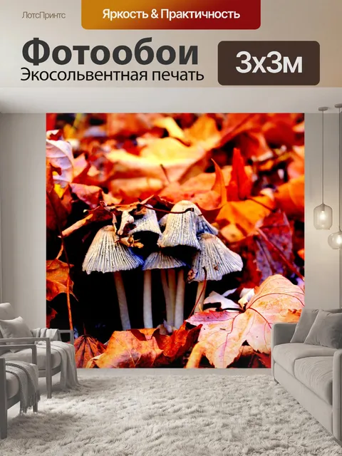 Фотообои Гриб