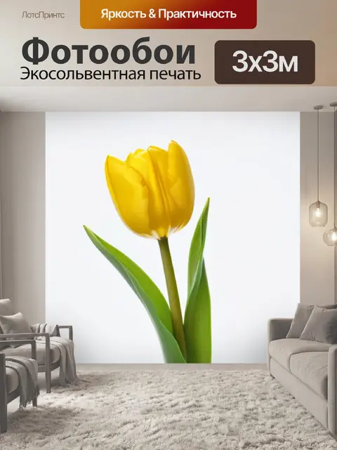 Фотообои один желтый тюльпан на белом фоне