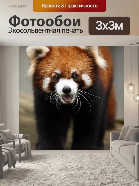Фотообои Красная панда