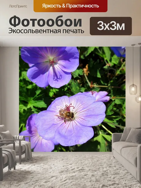 Фотообои Пчела