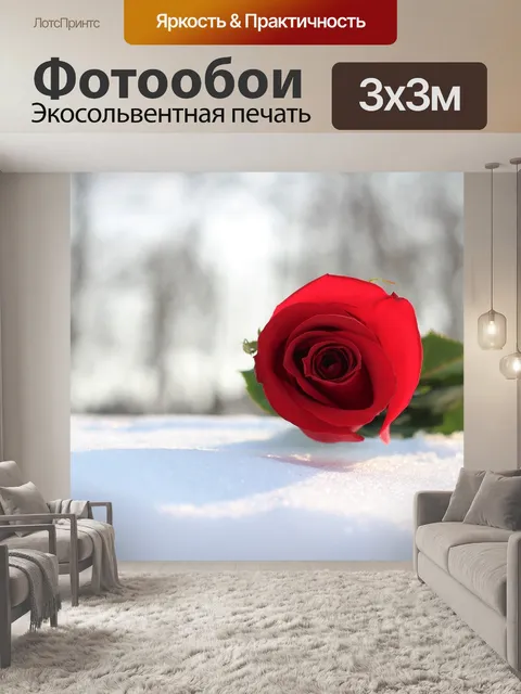 Фотообои Красная роза в снегу
