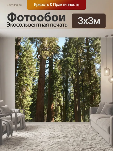 Фотообои Гигантские секвойи в Йосемити