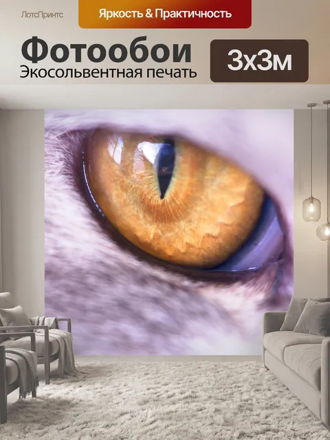 Фотообои Закрыть глаза желтый кота