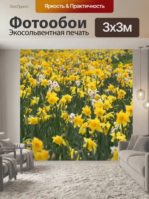 Фотообои Нарцисс