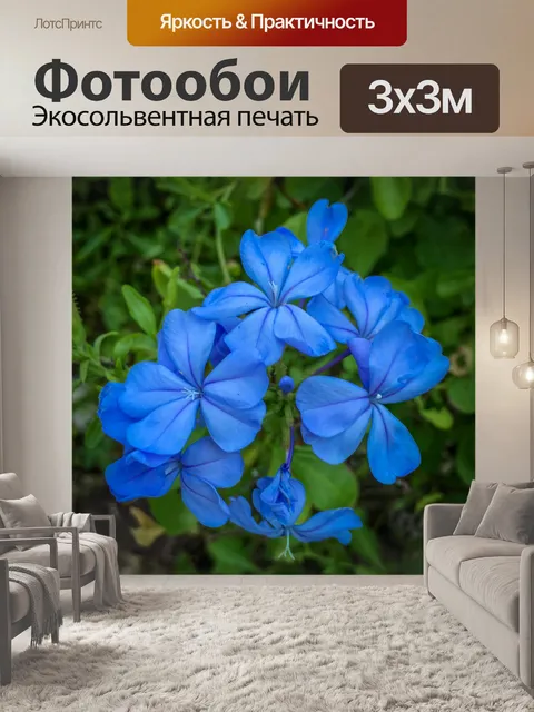 Фотообои Синие тропические цветы