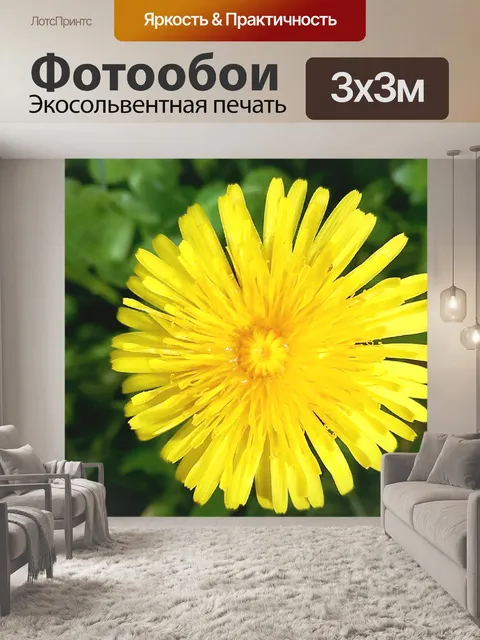 Фотообои Желтый
