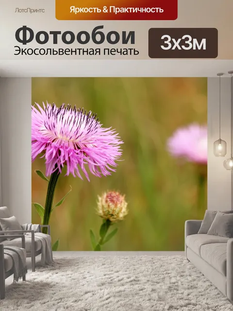 Фотообои Американский цветок корзины и боке