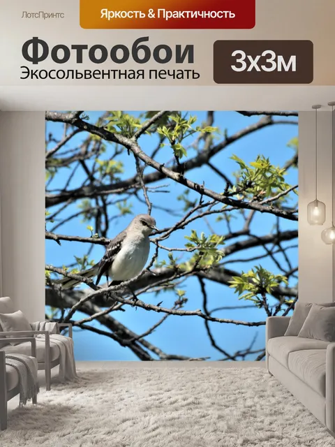 Фотообои Пересмешник весной