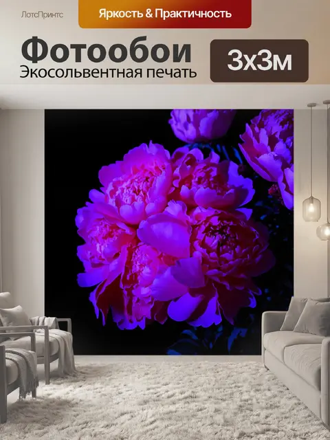 Фотообои пионы, освещенные ярким фиолетовым светом, создают загадочную и чарующую атмосферу, идеально подходящую для…