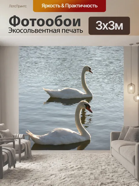 Фотообои Лебеди