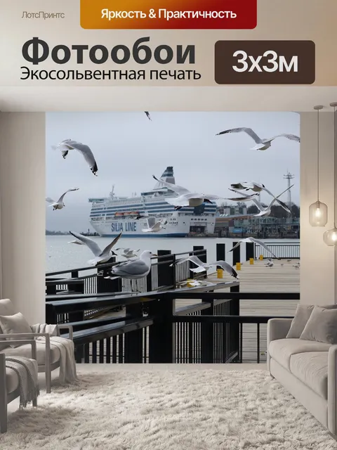 Фотообои Чайки