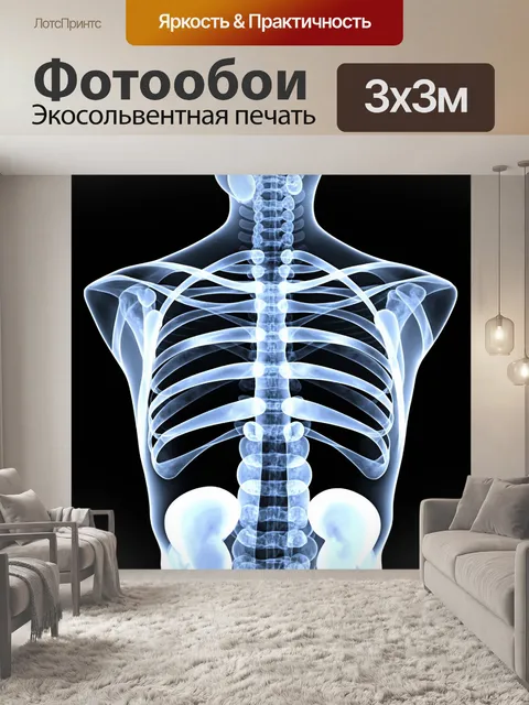 Фотообои стиллизованный рентгеновский снимок
