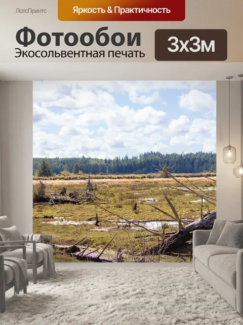 Фотообои Бесплодный