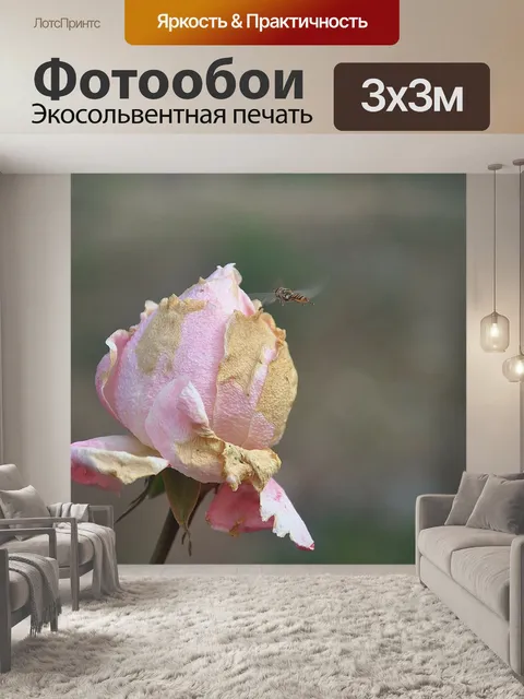 Фотообои Розы