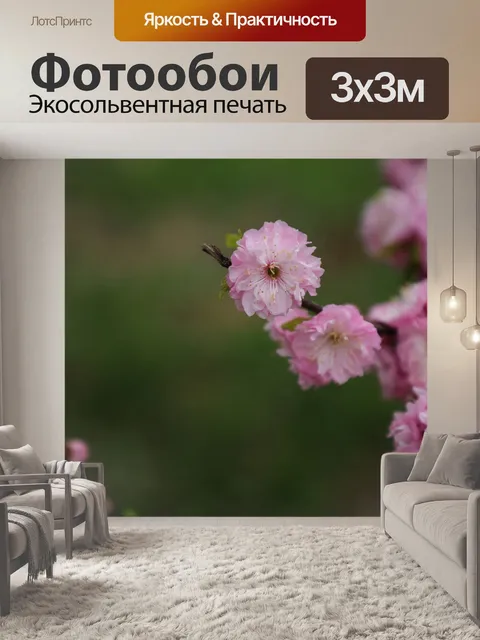 Фотообои Цветение сливы