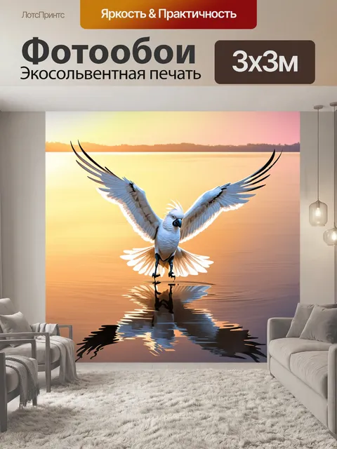 Фотообои корелла летит над спокойным озером на рассвете, отражаясь в воде