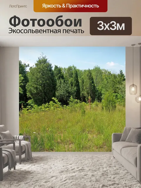Фотообои Поля и деревья