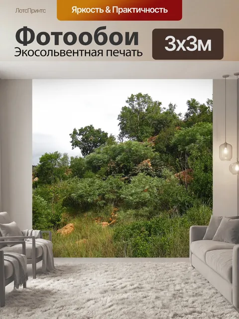 Фотообои холмы, покрытые растительностью и травой