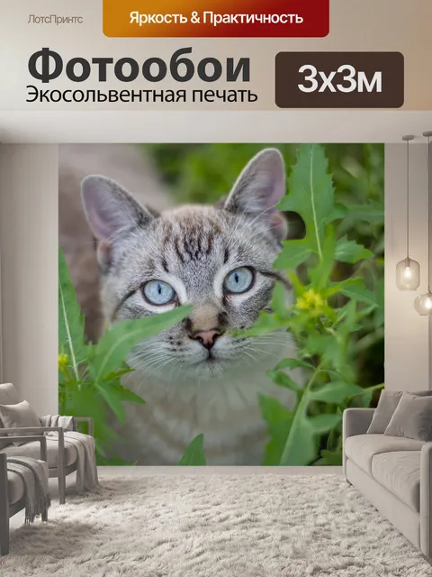 Фотообои Природа