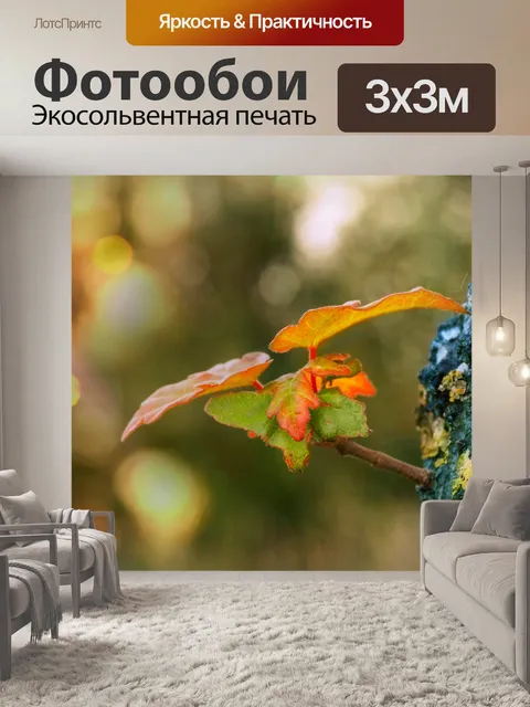 Фотообои Осенние листья ветка дерева лес