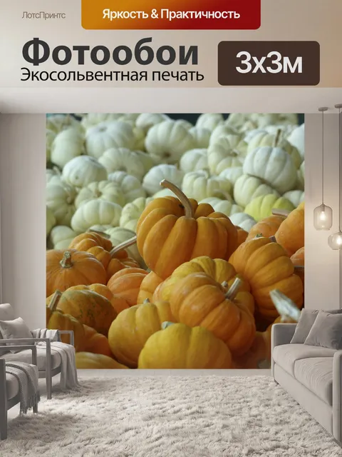 Фотообои Белый и оранжевый тыквы