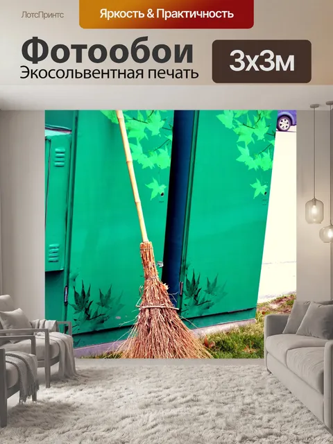 Фотообои Китайские Broom