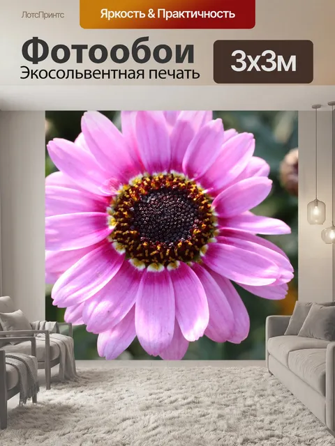 Фотообои Красивый розовый цветок