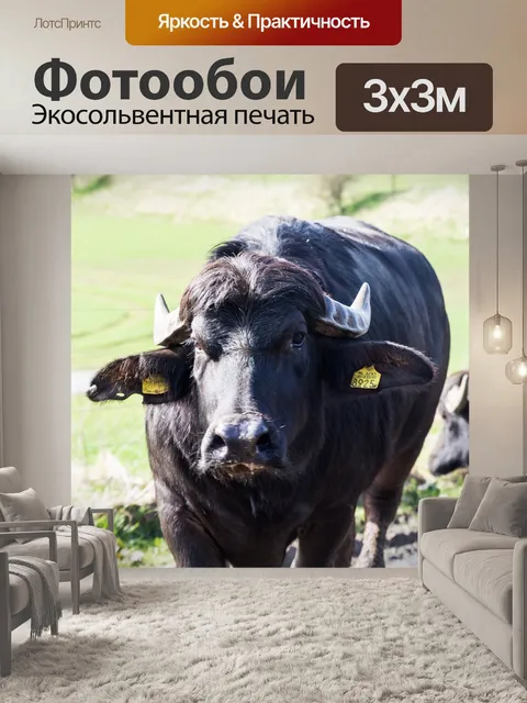 Фотообои Животное