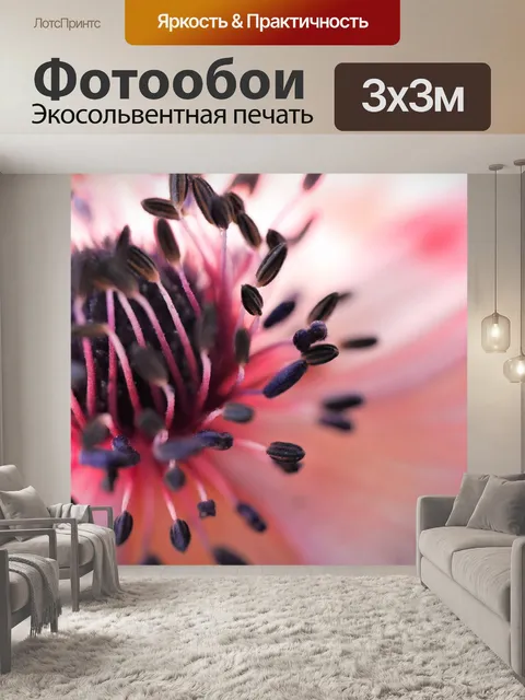Фотообои Цветок