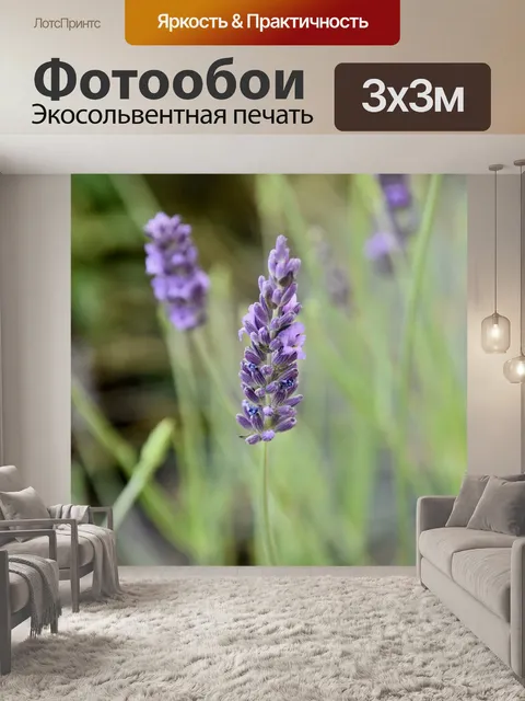 Фотообои Цветок