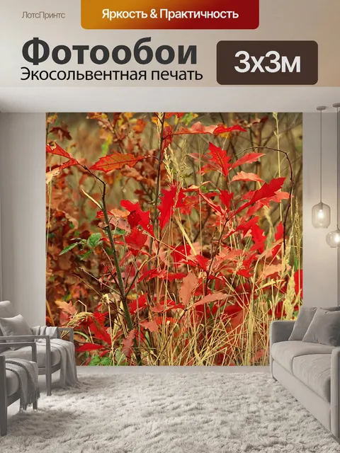 Фотообои Осенний вид